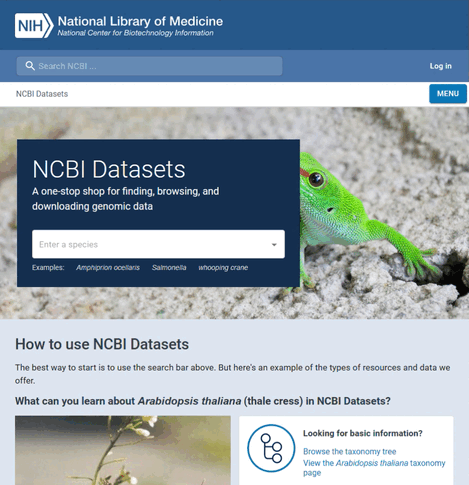 Animation of findng a RefSeq assembly accession on NCBI.